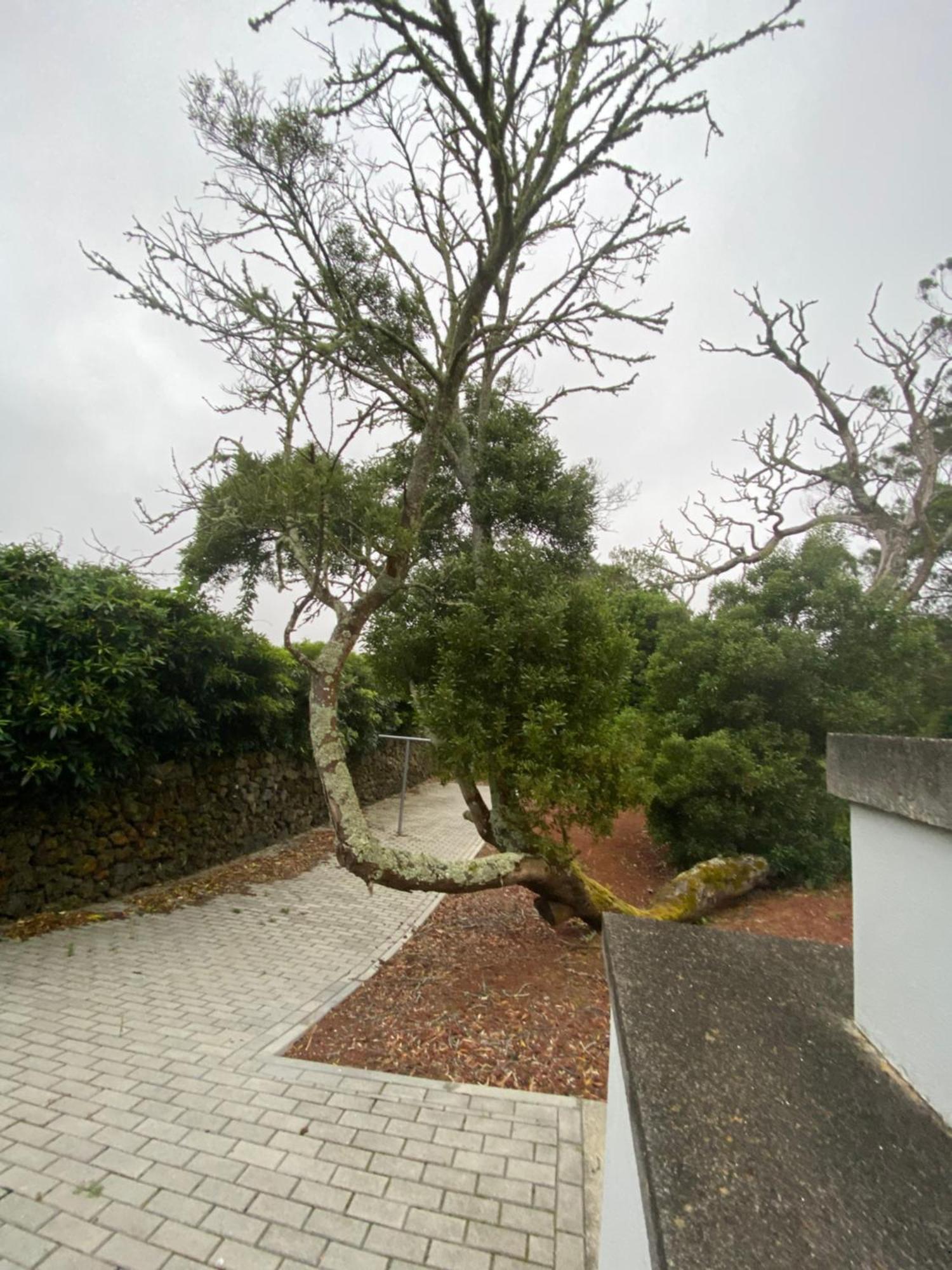 Casa Azul Terceira Island Azores Fonte do Bustardo Exterior foto